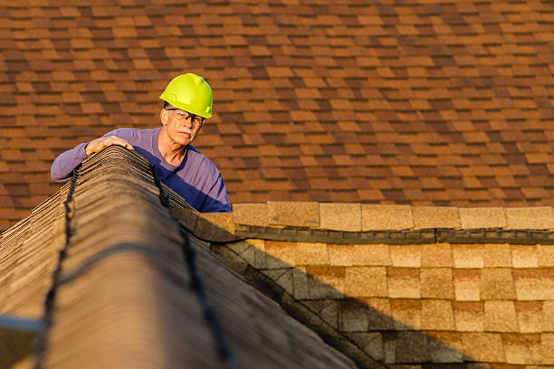 Best Storm Damage Roof Repair  in Kimball, TN
