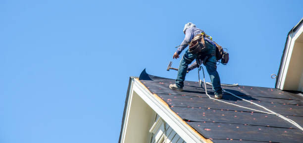 Roof Gutter Cleaning in Kimball, TN